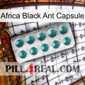 Africa Black Ant Capsule dapoxetine1